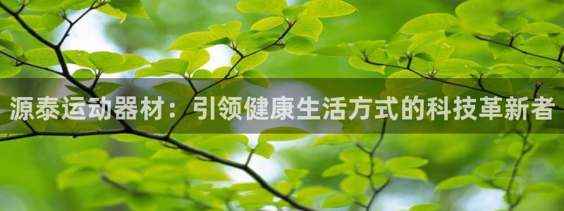 德国哈哈体育集团:源泰运动器材:引领健康生活方式的科技革新者